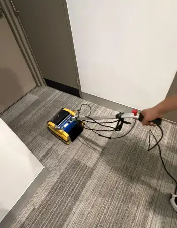 Carpet Cleaning Services