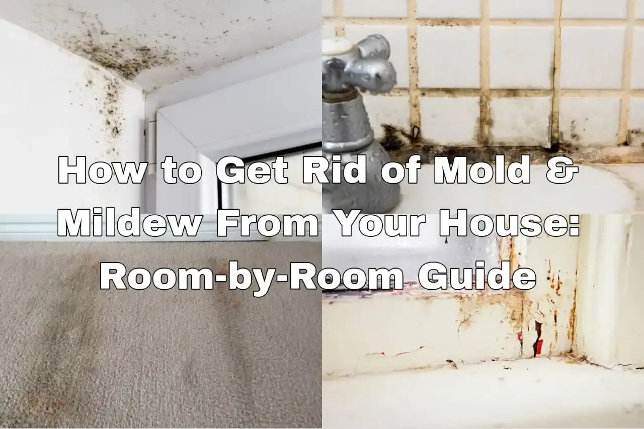 Remove Mold & Mildew: A Complete Room-by-Room Removal & Prevention Guide